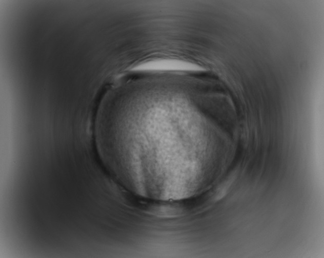 X0000094340466200711162013