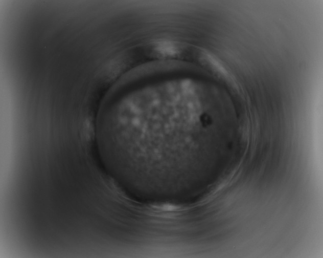 X0000094340467200711162013