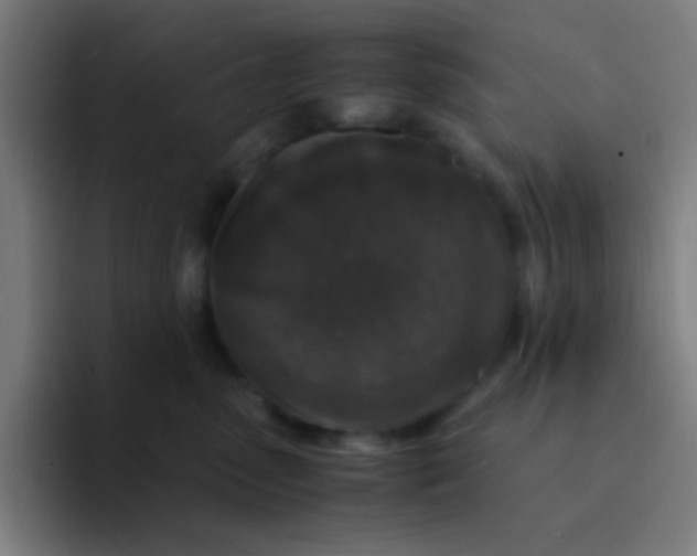 X0000094340475200711162013