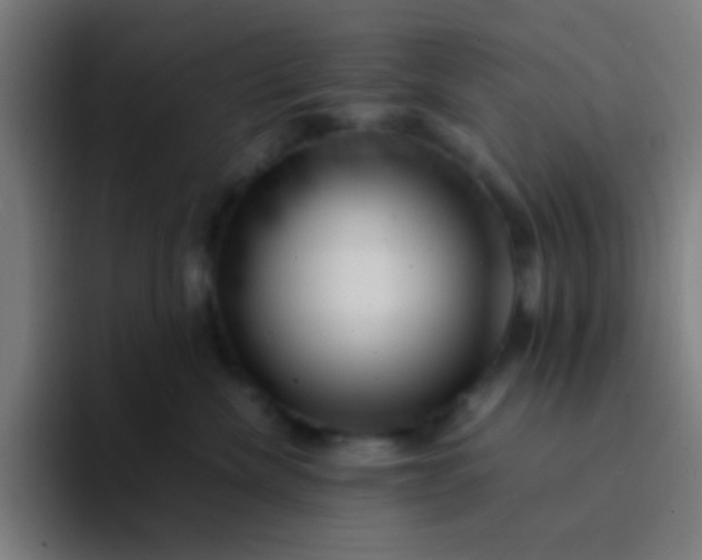 X0000094340476200711162013