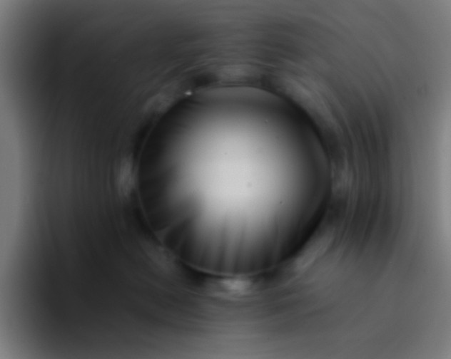 X0000094340478200711162013