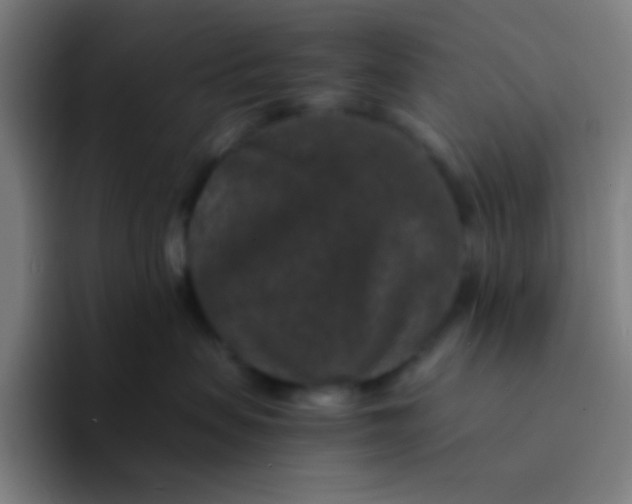 X0000094340479200711162013