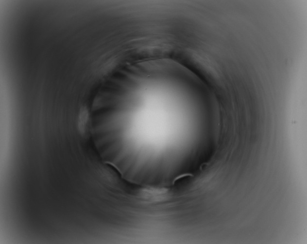 X0000094340480200711162013