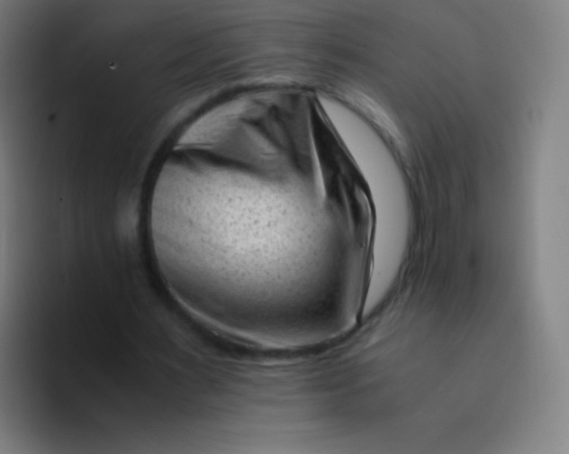 X0000094340483200711162013