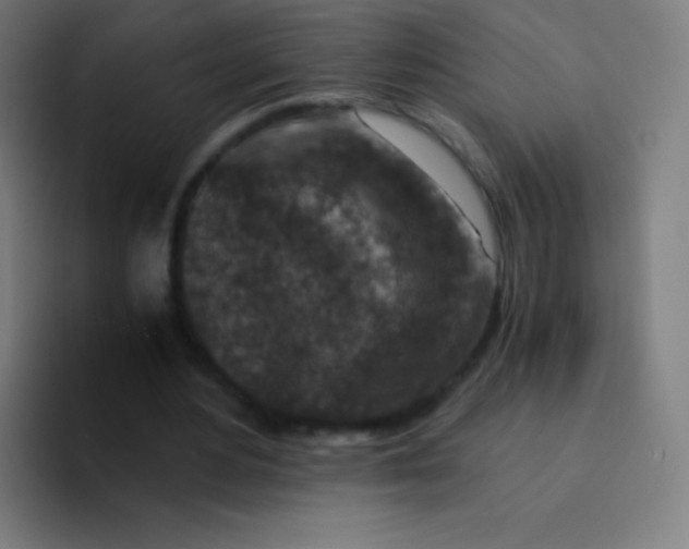 X0000094340484200711162013