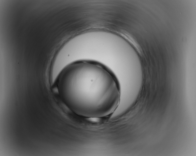 X0000094340485200711162013