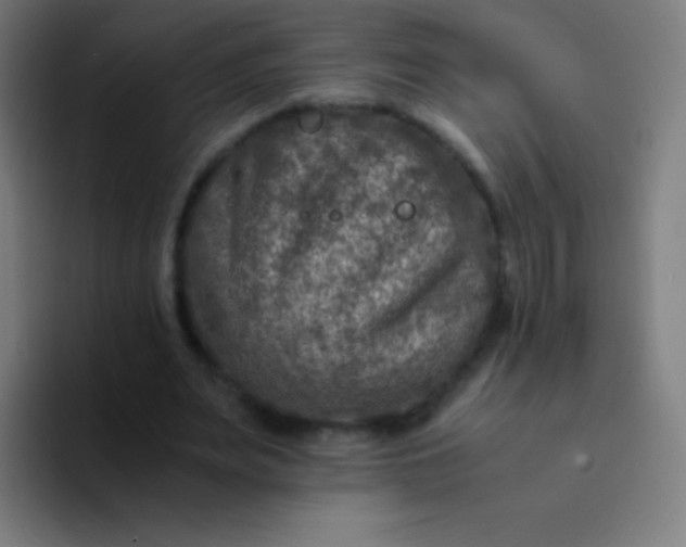 X0000094340487200711162013