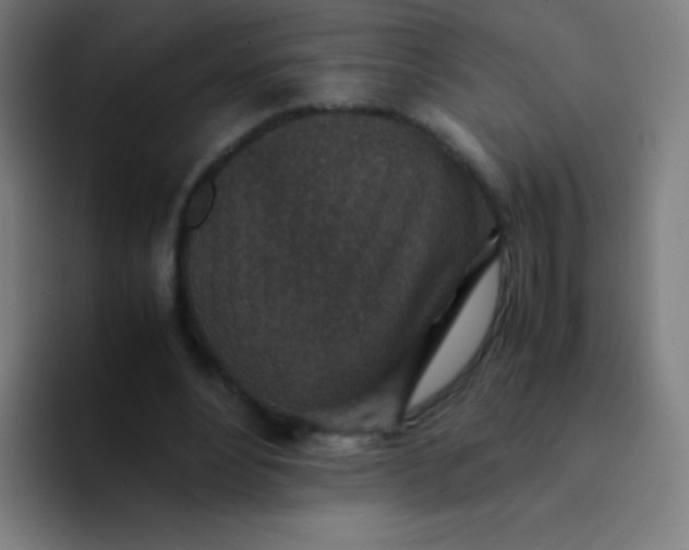 X0000094340488200711162013