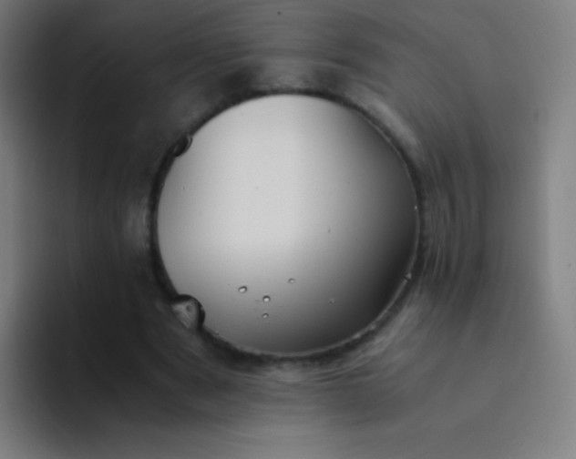 X0000094340489200711162013