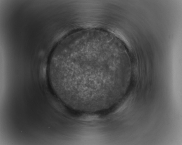 X0000094340491200711162013