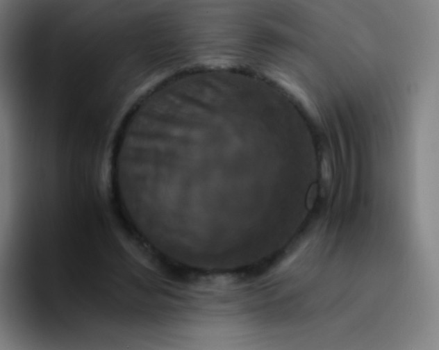 X0000094340492200711162013