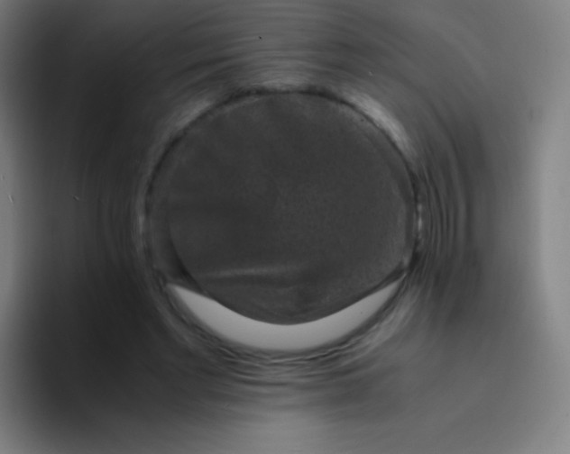 X0000094340493200711162013