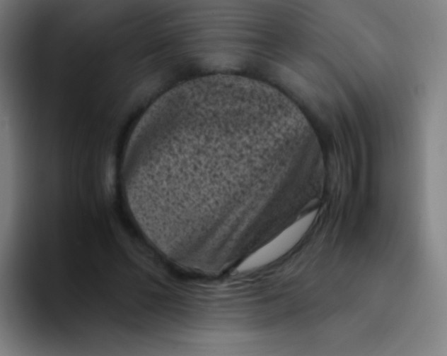 X0000094340494200711162013