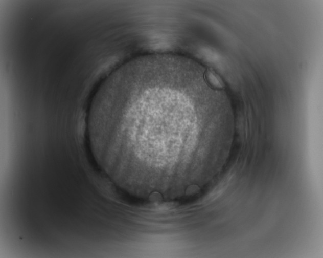 X0000094340495200711162013