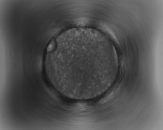 X0000094340496200711162013