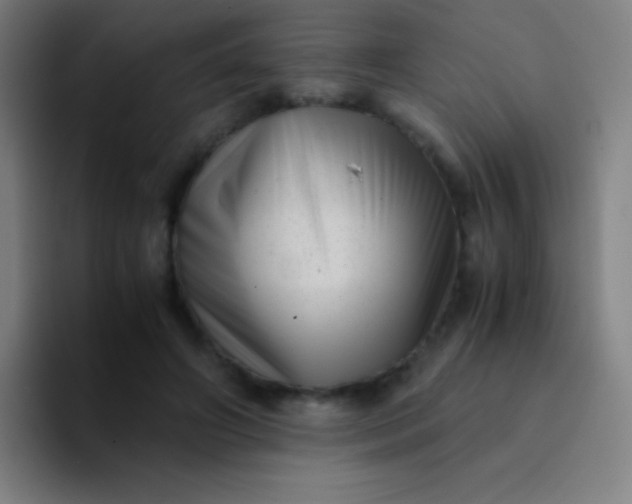 X0000094340498200711162013