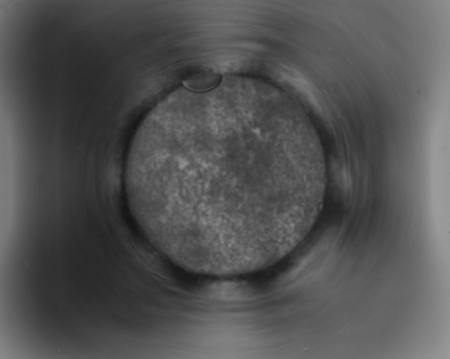 X0000094340499200711162013