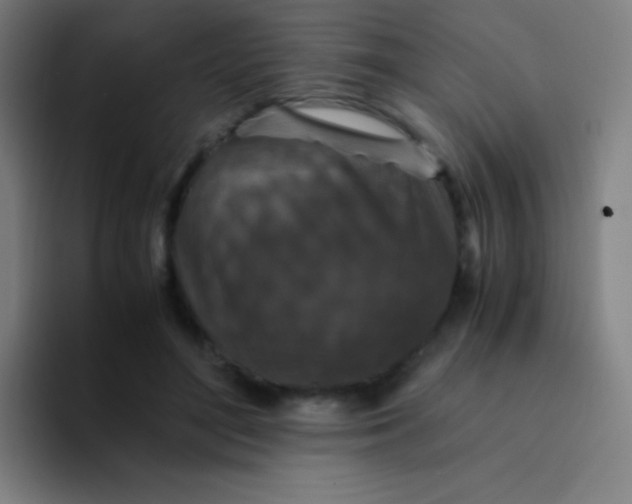 X0000094340500200711162013