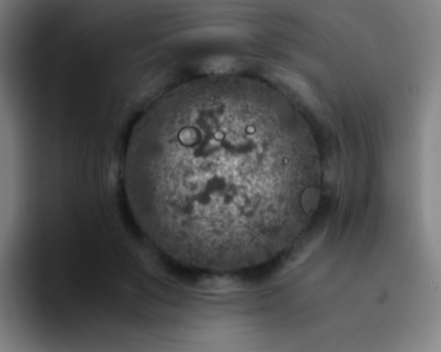 X0000094340503200711162012