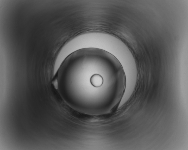 X0000094340504200711162012