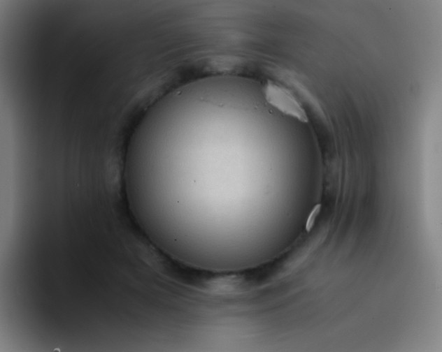 X0000094340505200711162012