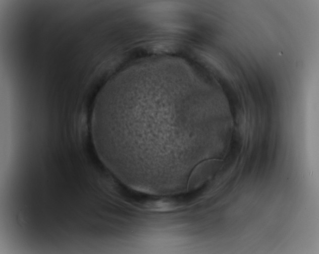 X0000094340506200711162012