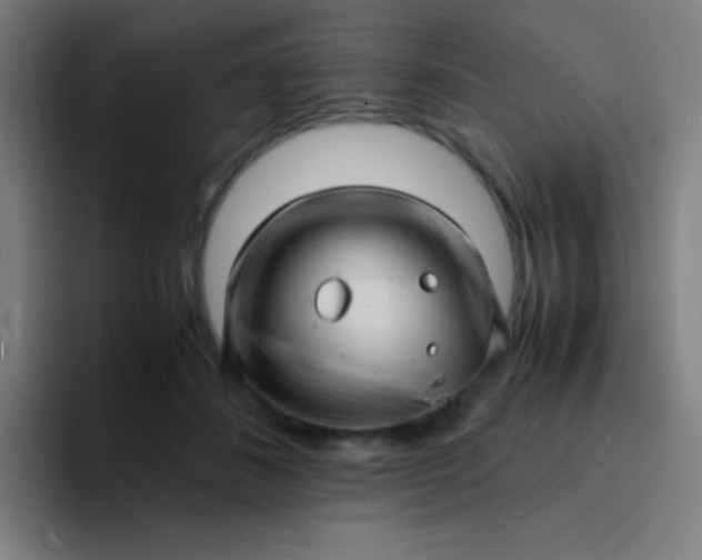 X0000094340508200711162012