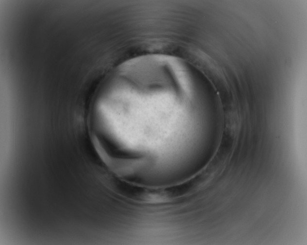 X0000094340510200711162012