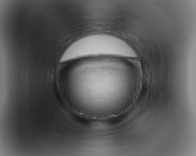 X0000094340511200711162012