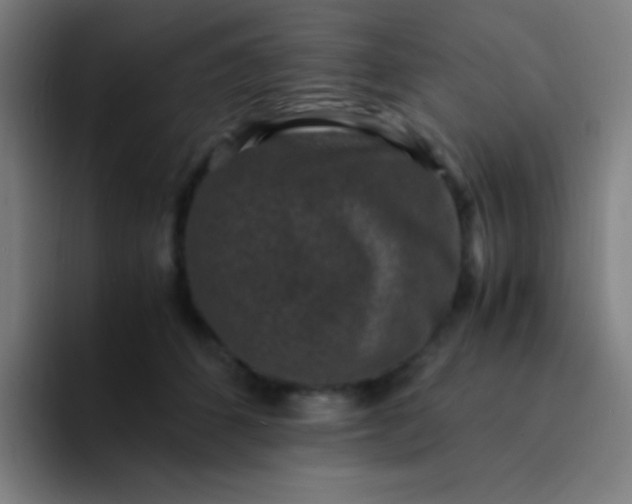 X0000094340512200711162012