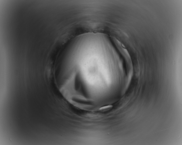 X0000094340515200711162012