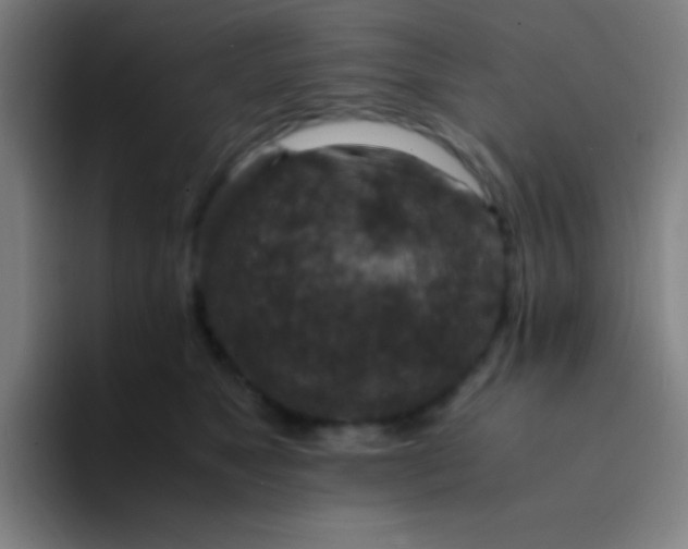 X0000094340517200711162012