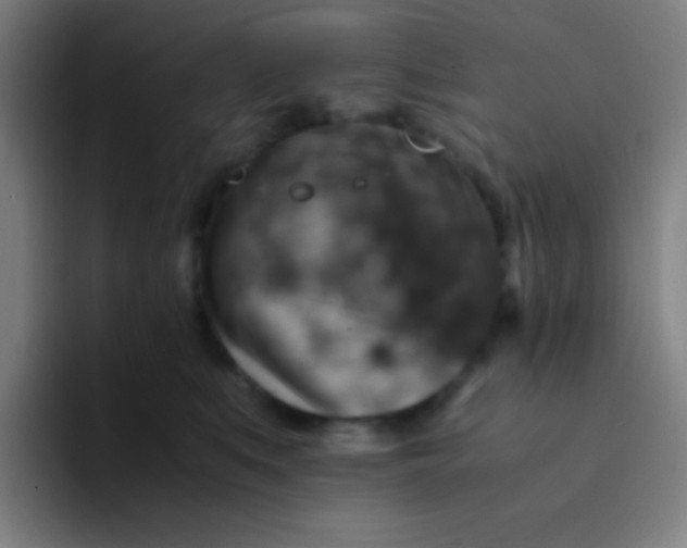 X0000094340519200711162012