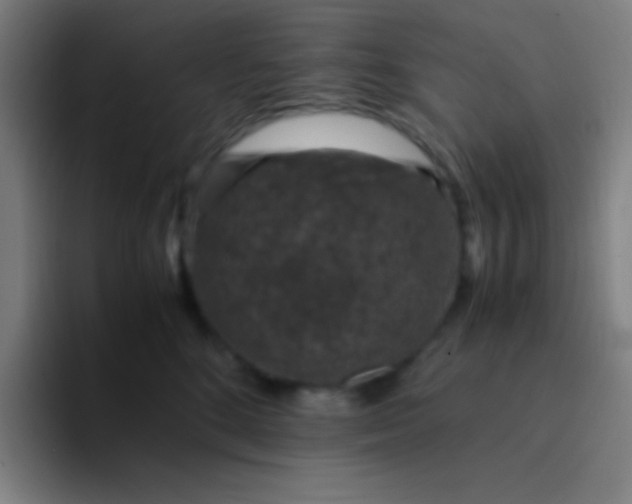 X0000094340520200711162012