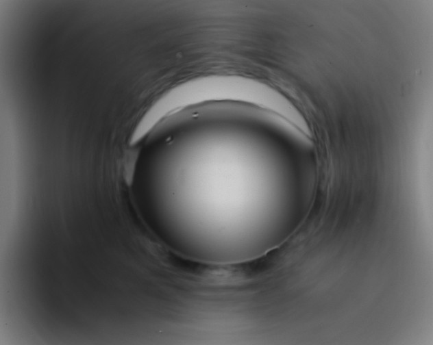 X0000094340521200711162012