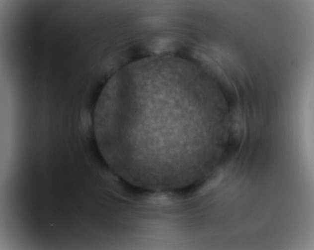 X0000094340523200711162012