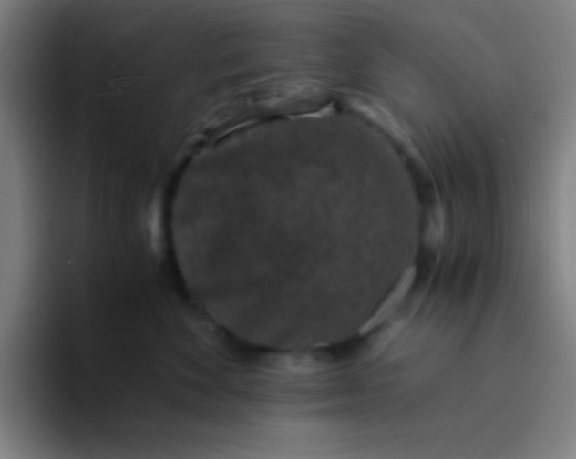 X0000094340524200711162012