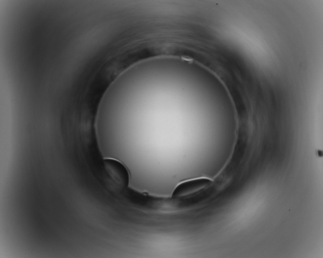 X0000094340525200711162012