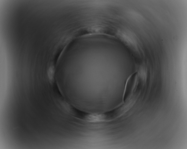 X0000094340526200711162012