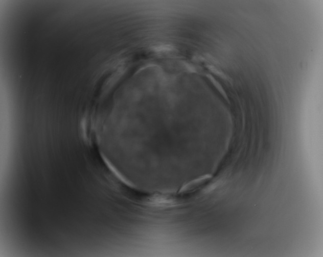 X0000094340528200711162012