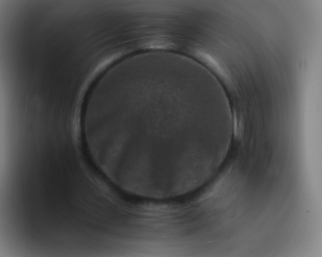 X0000094340531200711162012