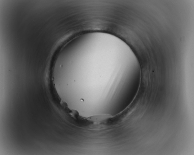 X0000094340536200711162012