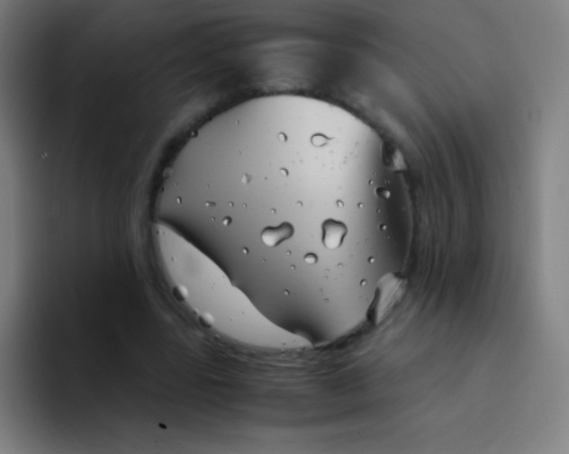 X0000094340539200711162012