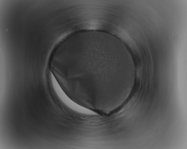 X0000094340540200711162012