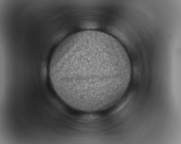 X0000094340541200711162012