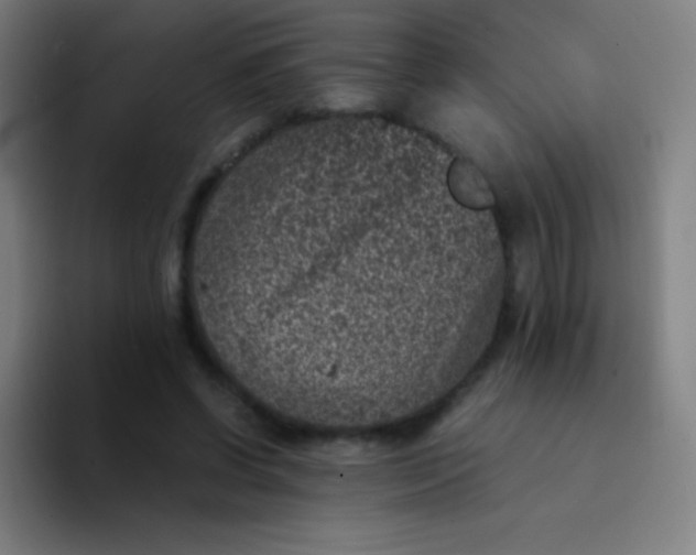 X0000094340542200711162012