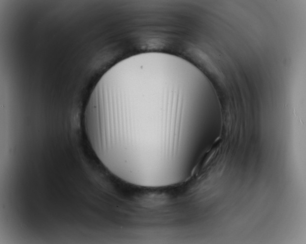 X0000094340543200711162012