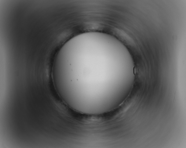 X0000094340546200711162012