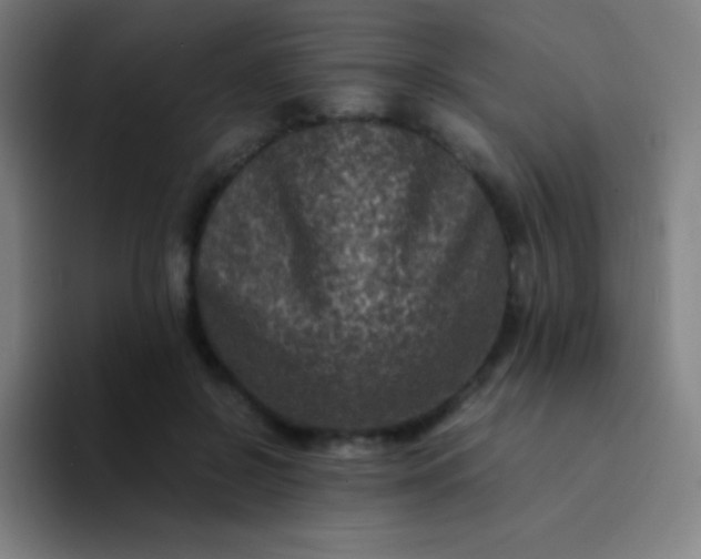 X0000094340550200711162012