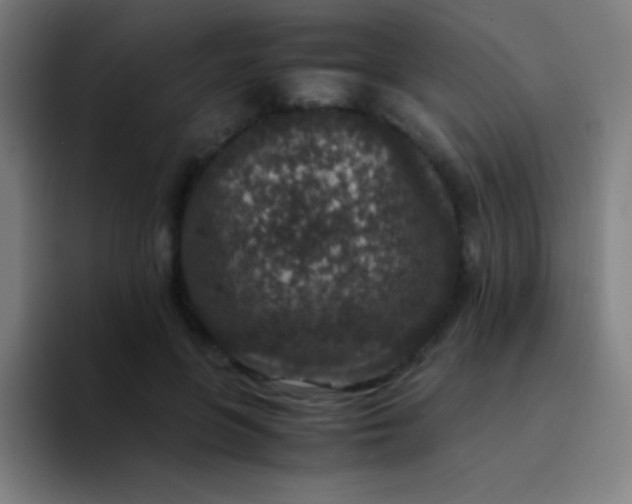 X0000094340551200711162012